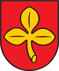 Logo Stadt Salzkotten